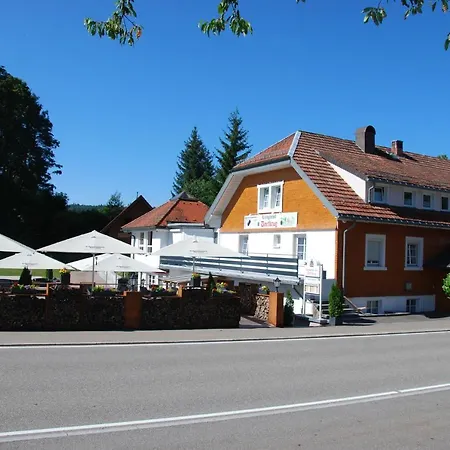 Hotell Landgasthof Zum Dorfkrug Häusern